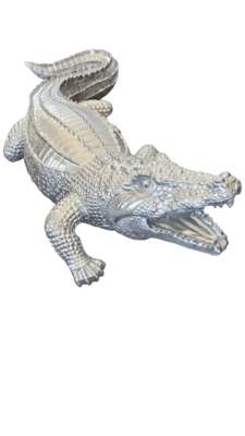 Image produit Crocodile