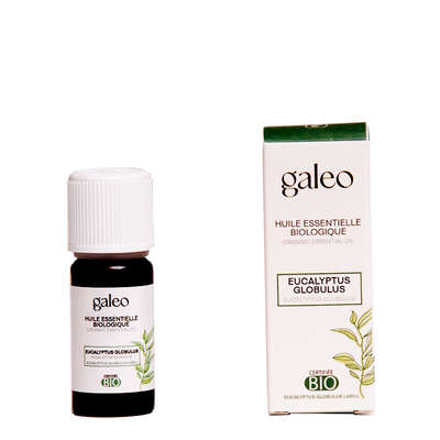 Image produit Eucalyptus globulus