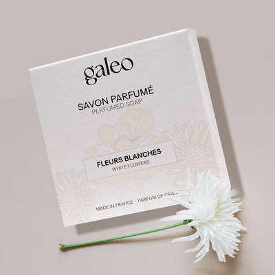 Image du produit Fleurs blanches