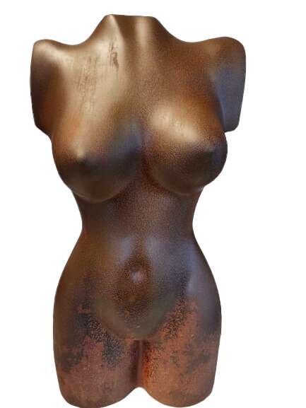 Image du produit  Buste d'artiste bronze