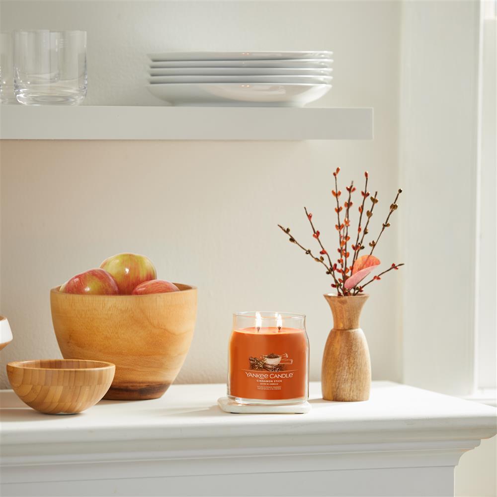 Cinnamon Stick Signature Medium Jar – Image 3