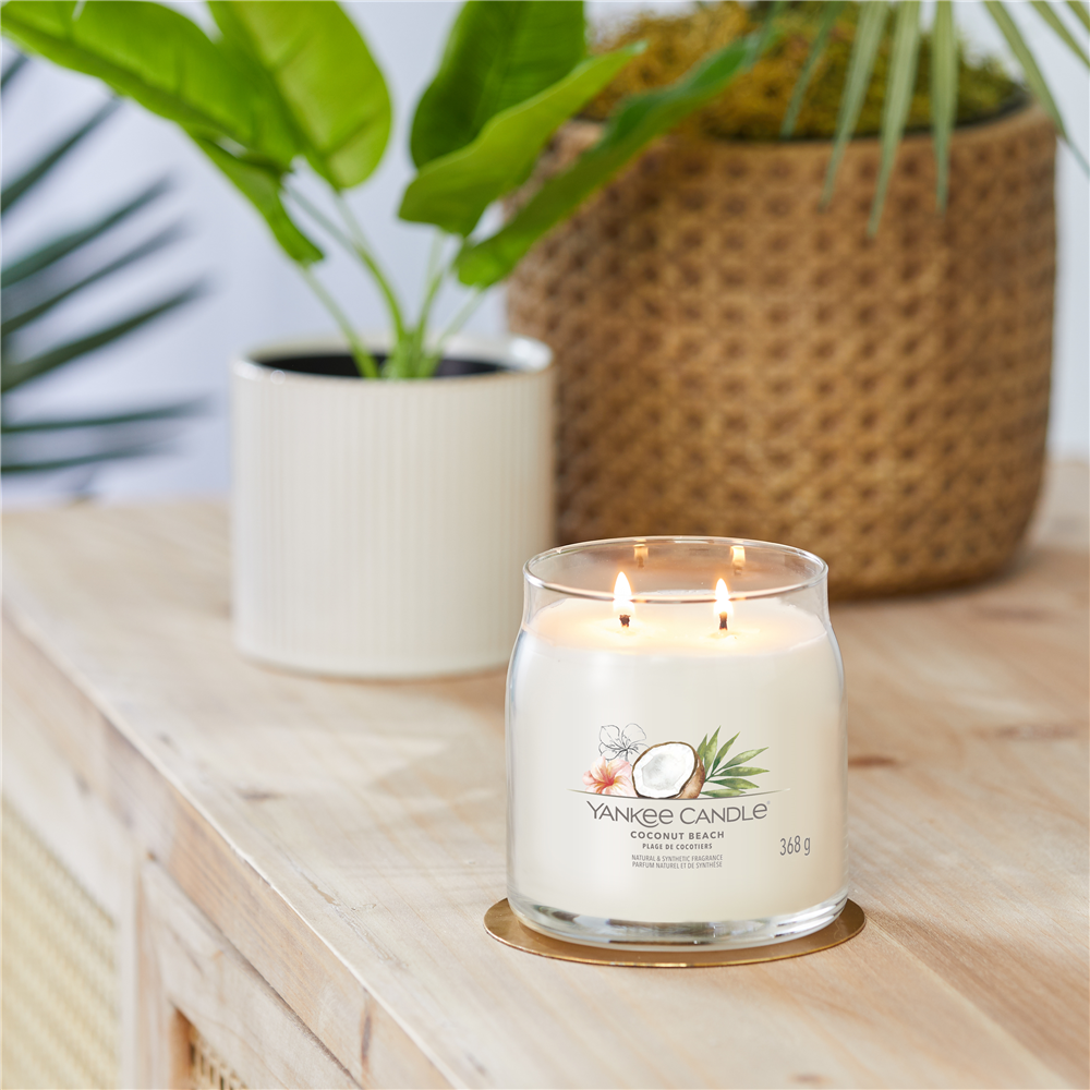 Coconut Beach Signature Medium Jar – Image 3