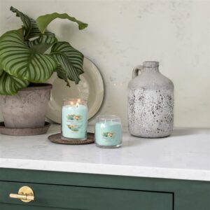 Alternative view of Aloe & Agave Signature Medium Jar