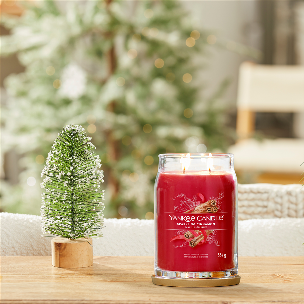 Sparkling Cinnamon Signature Large Jar – Image 2