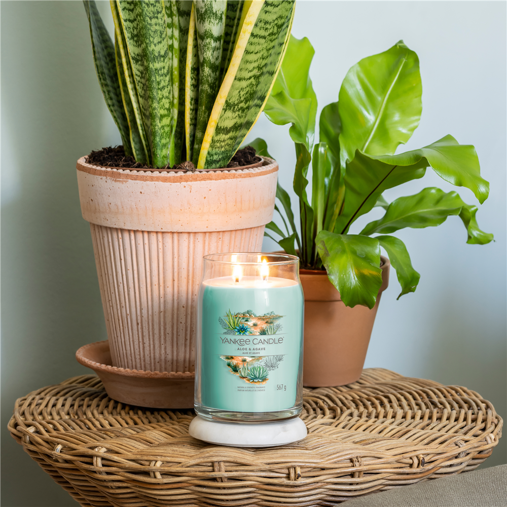 Aloe & Agave Signature Large Jar – Image 2