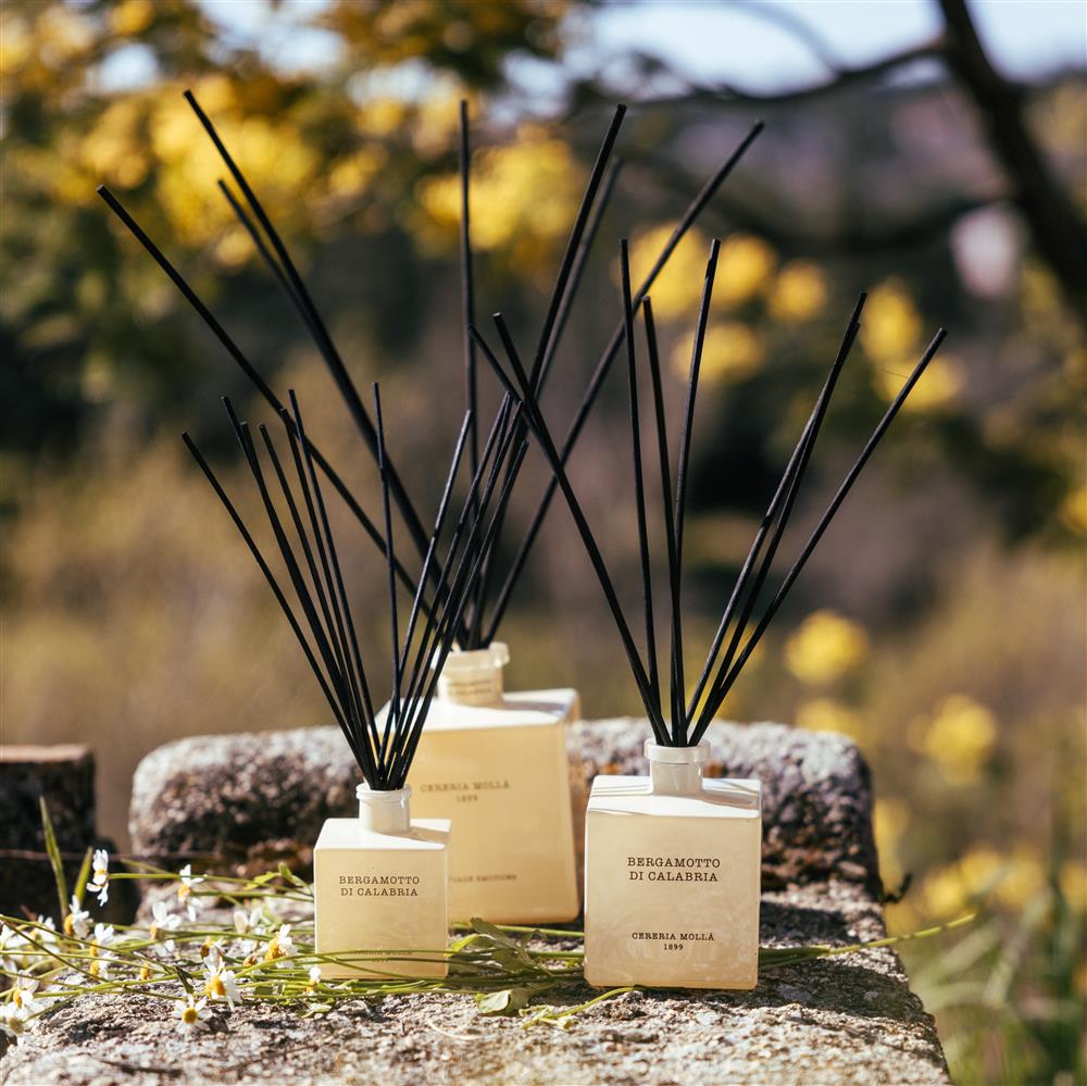 Bergamotto di Calabria Premium Reed Diffuser 250ml – Image 3