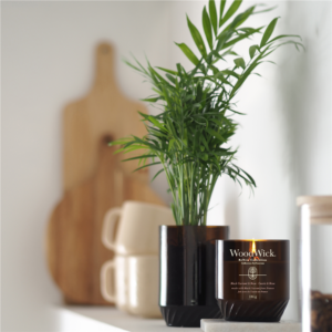 Alternative view of Black Currant & Rose ReNew Medium Jar