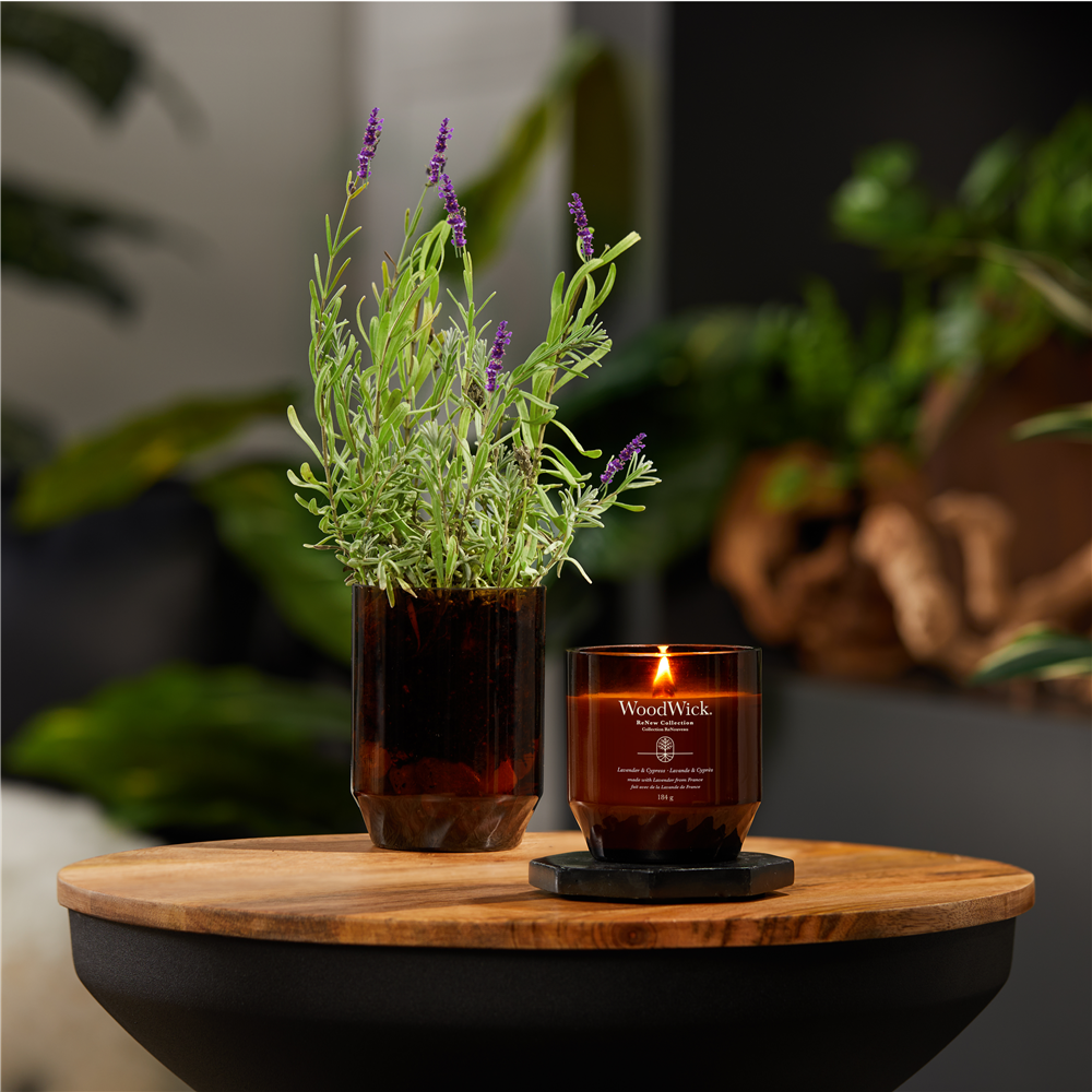 Lavender & Cypress ReNew Medium Jar – Image 3