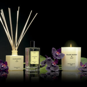 Diffuseurs & Huiles Parfumées