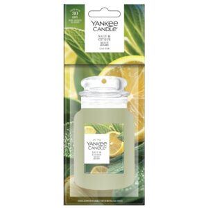 Sauge et Agrumes Car Jars Karton