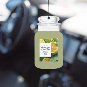 Alternative view of Sauge et Agrumes Car Jars Karton