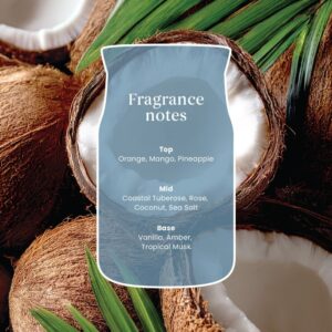 Alternative view of Noix de coco salée Signature Small Jar