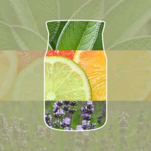 Alternative view of Sauge et Agrumes Car Jar Ultimate