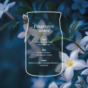 Alternative view of Jasmin de minuit Signature Medium Jar