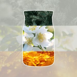 Alternative view of Bouleaux Argentés Signature Large Jar