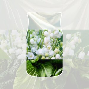 Alternative view of Coton Frais Signature Reed Refill 200ml