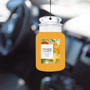 Alternative view of Carambole d'été Car Jars Karton