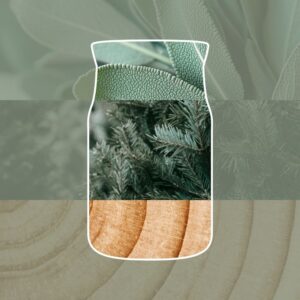 Alternative view of Sauge Argentée & Pin Signature Wax Melts