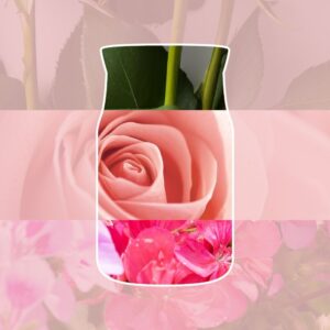 Alternative view of Roses Fraîchement Coupées Signature Wax Melts