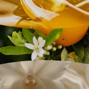 Alternative view of Miel Blanc Ellipse