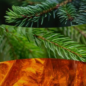 Alternative view of Sapin de Fraser Large Jar